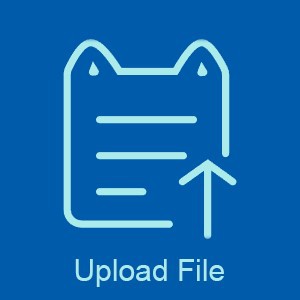 Upload file Upload file